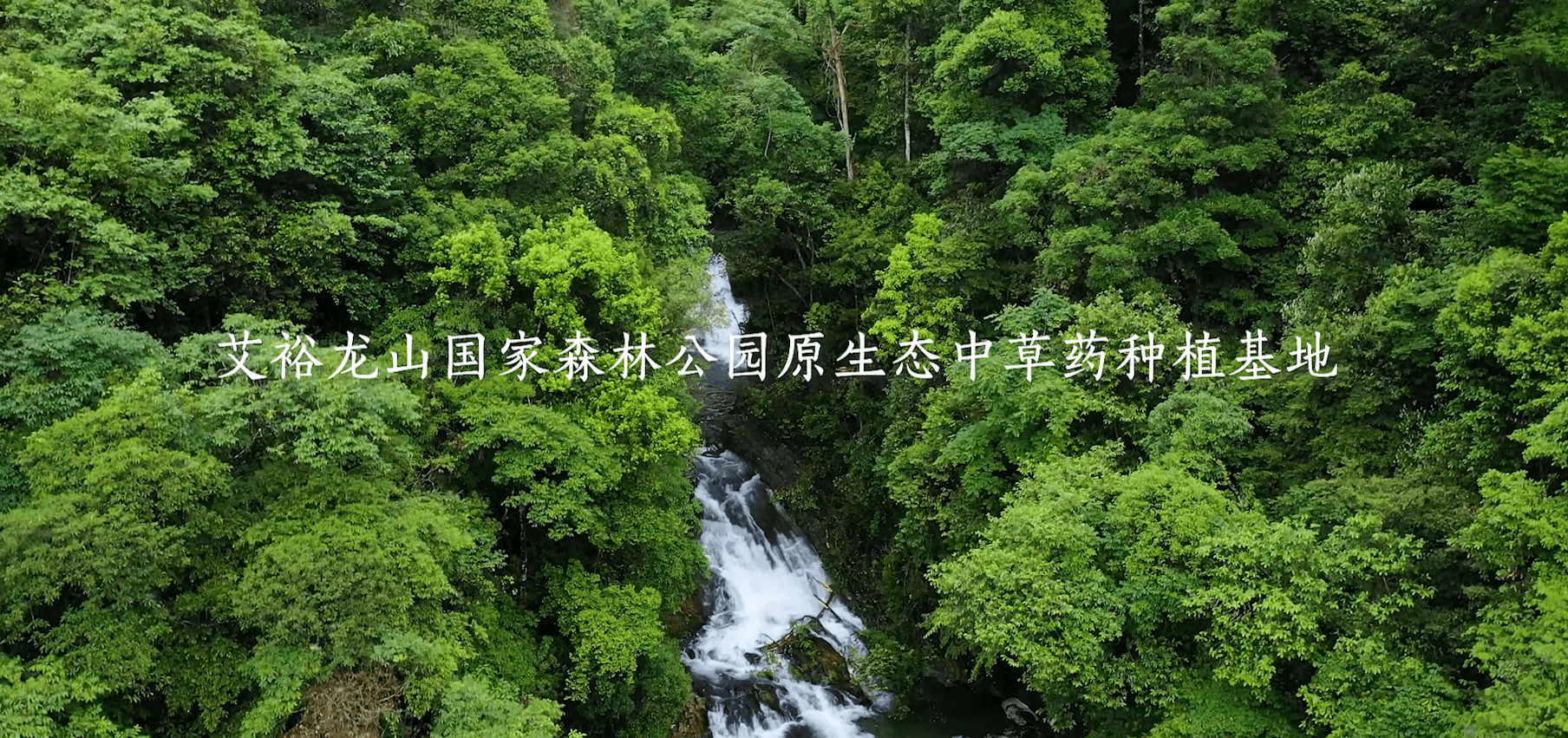 圖7-種植基地.png